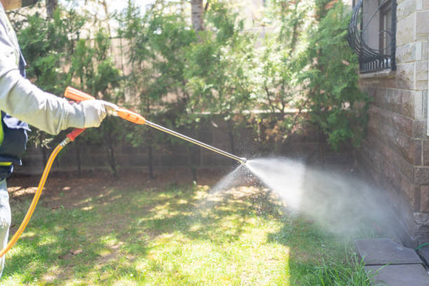 Best Emergency Pest Control  in Harleysville, PA