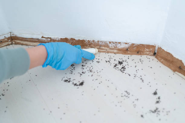 Best Commercial Pest Control Services  in Harleysville, PA
